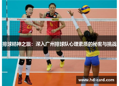 排球精神之旅：深入广州排球队心理素质的秘密与挑战