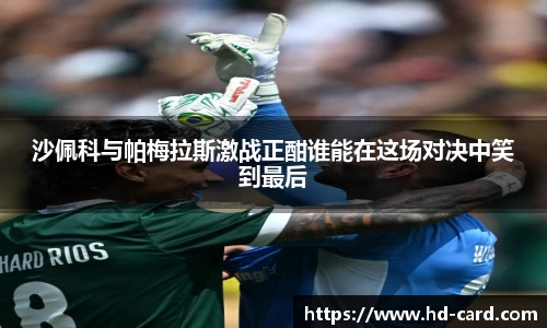 球速体育沙佩科与帕梅拉斯激战正酣谁能在这场对决中笑到最后